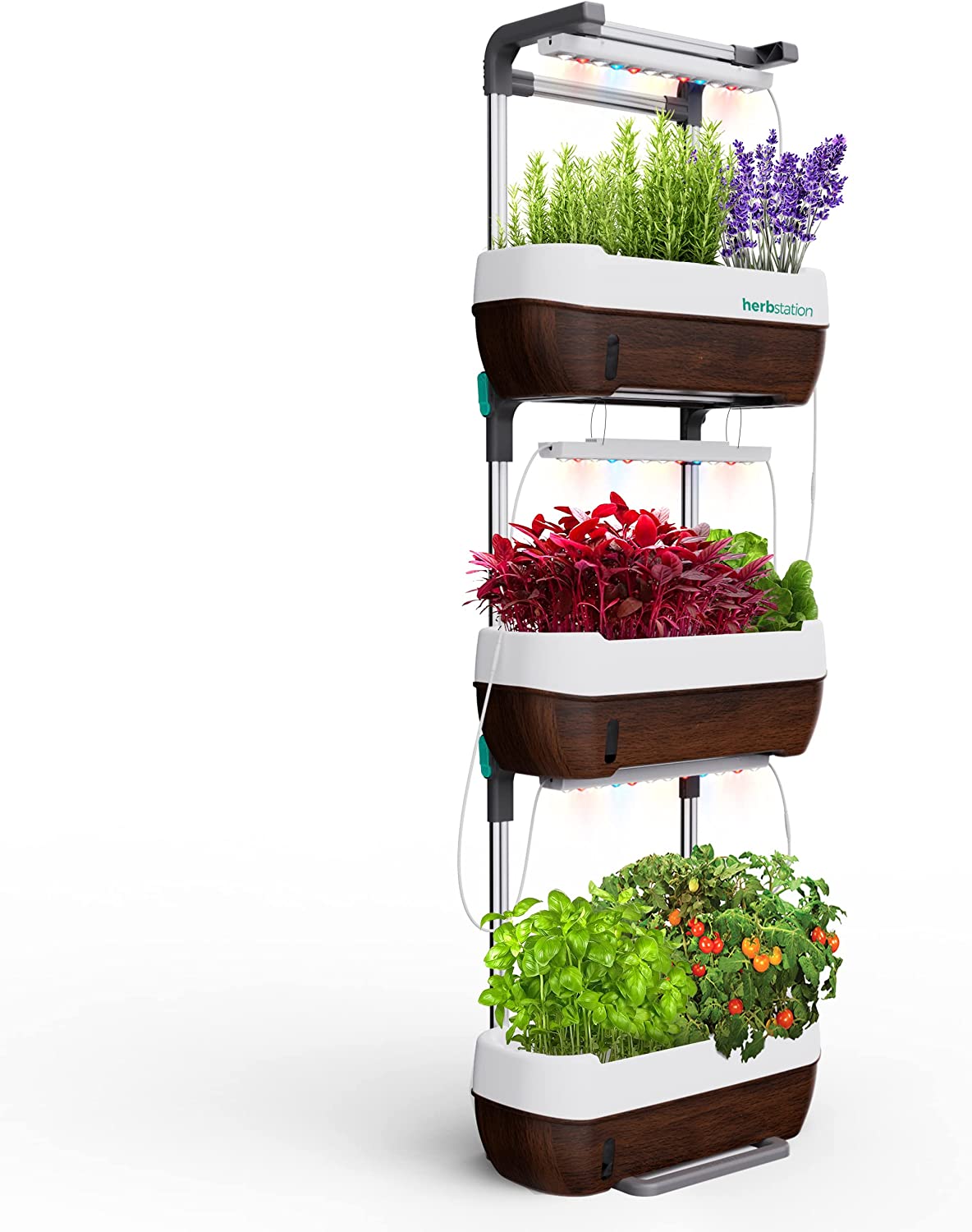 Self-Watering Systems