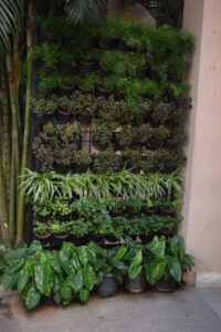 The Beauty and Benefits of Indoor Vertical Gardens - Hanging Pot Garden
