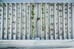 vertical garden - hydroponics