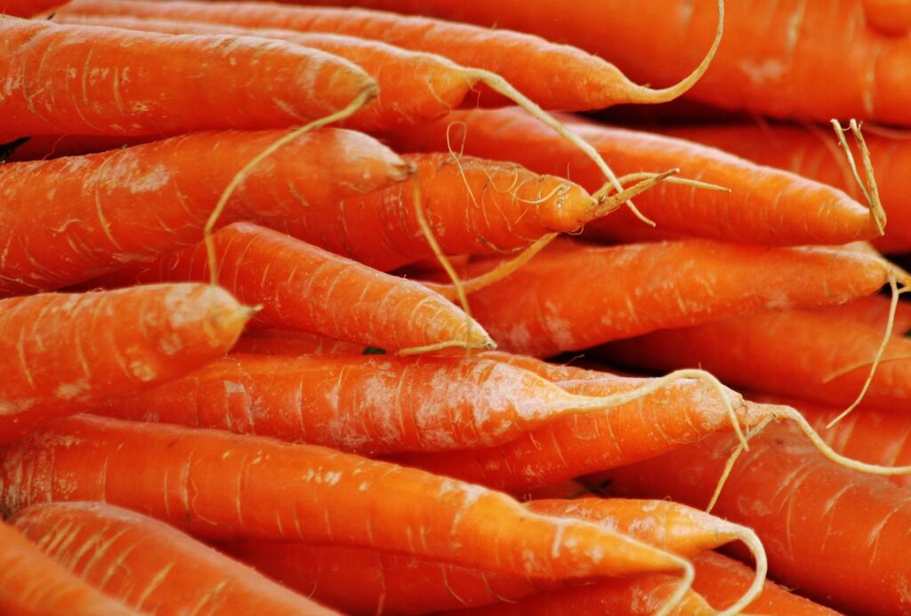 can you grow carrots hydroponically