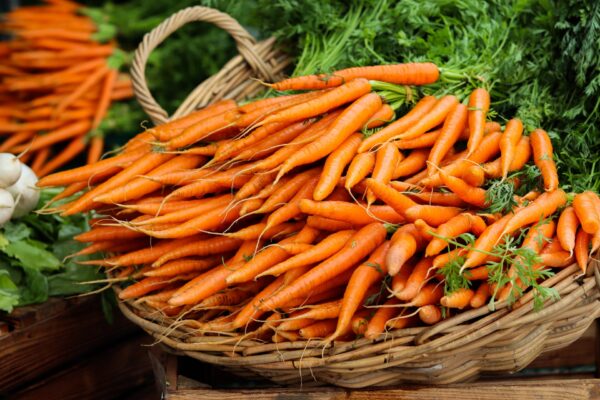 can you grow carrots hydroponically header