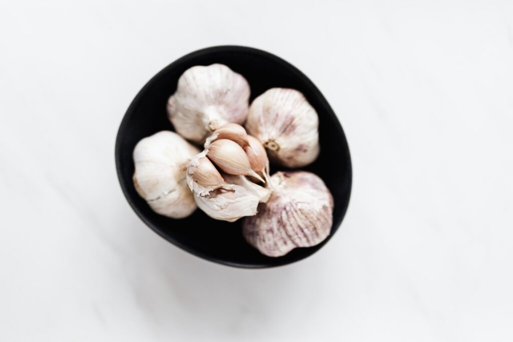 can you grow garlic hydroponically