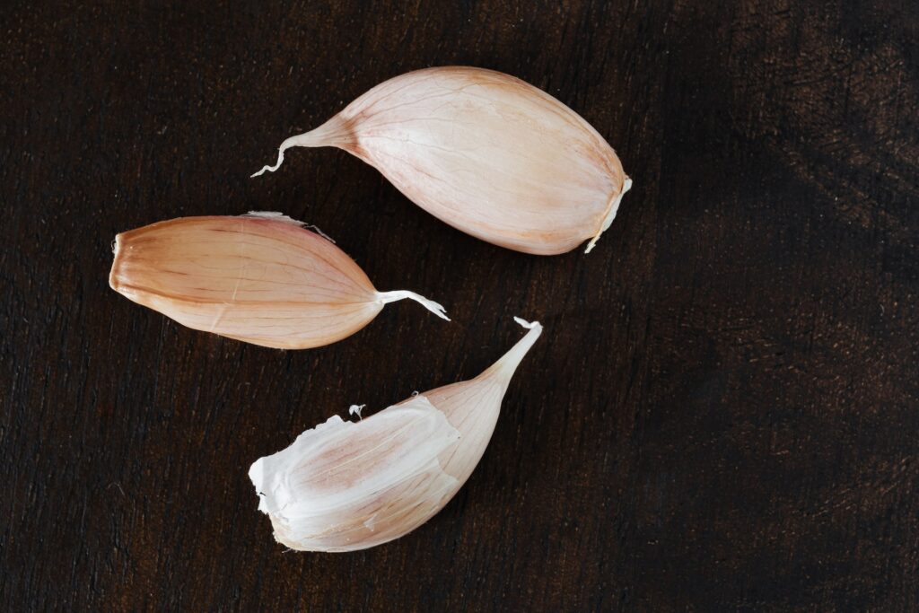 can you grow garlic hydroponically